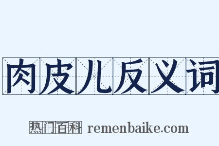 肉皮儿反义词是什么意思的图片